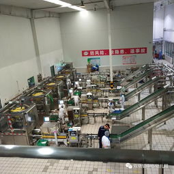 開啟幼兒社會大課堂,以社會實踐促進幼兒發展 雙墩鎮中心幼兒園參觀伊利乳品廠實踐活動