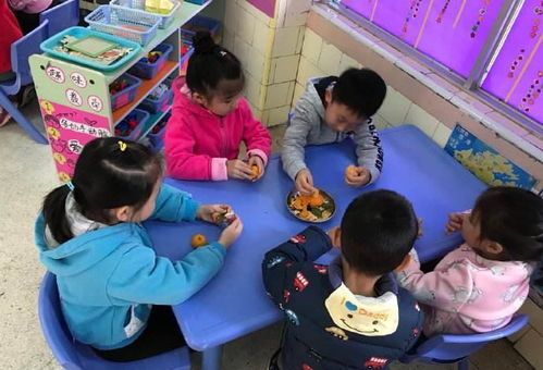 家長疑惑 幼兒園伙食費一天15塊,三餐加兩點,孩子能吃到啥