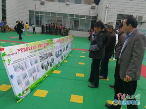 九江市湖濱幼兒園開展食品安全宣傳展活動 組圖