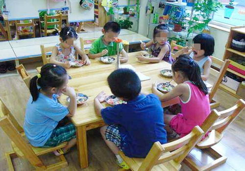 幼兒園宣傳 貓膩多 ,給孩子選園需 謹慎 ,別輕易 入套