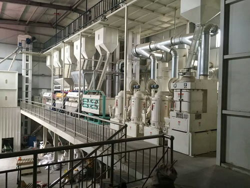 先進成套玉米加工設備讓玉米食品多樣化發展