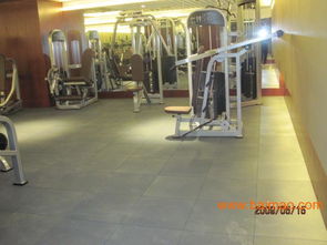 內丘 隆堯 臨城 寧晉 幼兒園地板 拼圖減震地板,內丘 隆堯 臨城 寧晉 幼兒園地板 拼圖減震地板生產廠家,內丘 隆堯 臨城 寧晉 幼兒園地板 拼圖減震地板價格