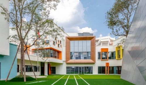 幼兒園迎 大改革 ,學(xué)前教育納入義務(wù)教育 官方回應(yīng)大眾不買賬