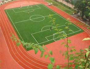 廠家供應(yīng)塑膠跑道材料 塑膠跑道工程造價(jià)