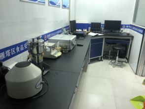 西電幼兒園設立食品快檢室，全方位守護幼兒飲食健康